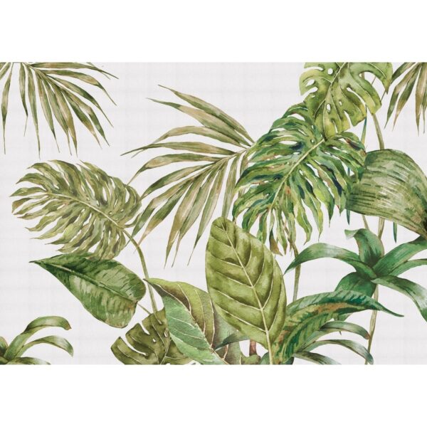Fern XXL fotó tapéta 360 x 254 cm