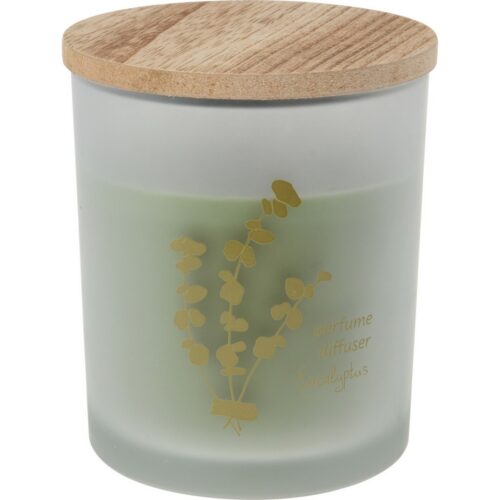 Flora home Eucalyptus üvegben