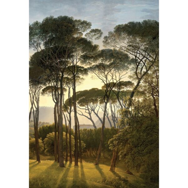 Fototapéta Old Trees 180 x 255 cm