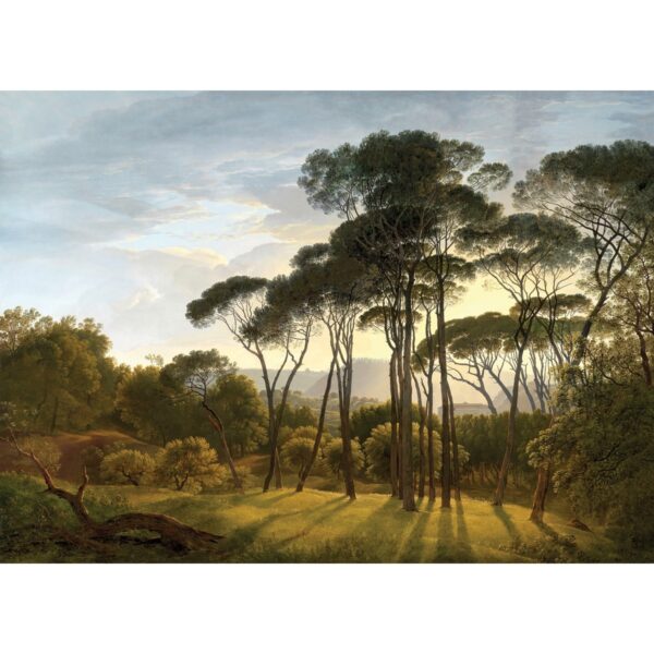 Fototapéta XXL Old Forest 360 x 254 cm