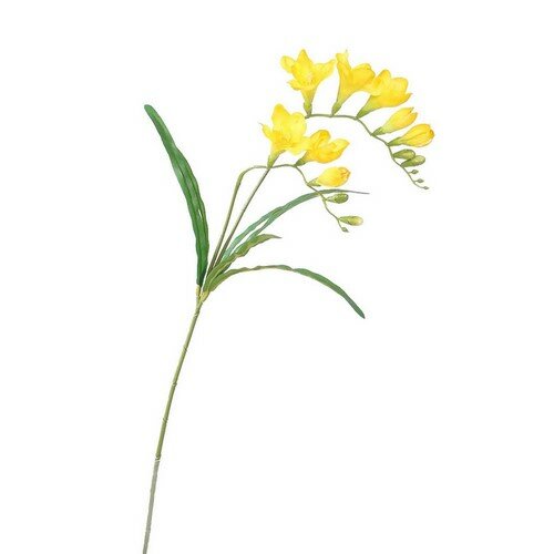 Freesia művirág sárga