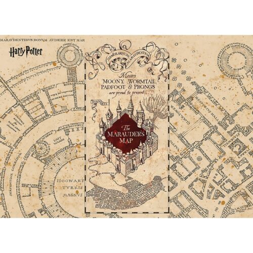 Gyerek fotótapéta Harry Potter Marauders Map 252 x182 cm