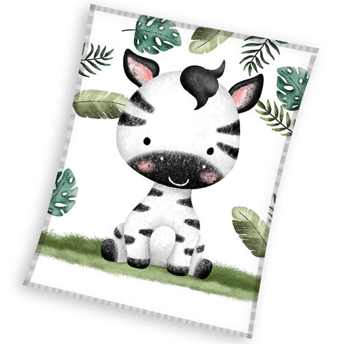 Kis zebra gyerek pléd