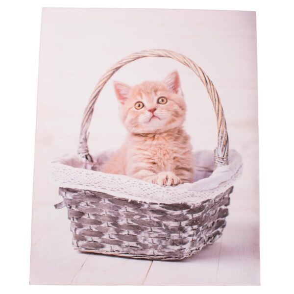 Kittie in basket vászonkép
