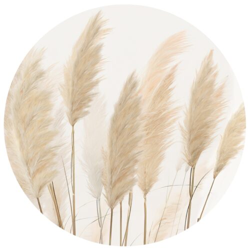Kör alakú fotótapéta Pampas 125 x 125 cm