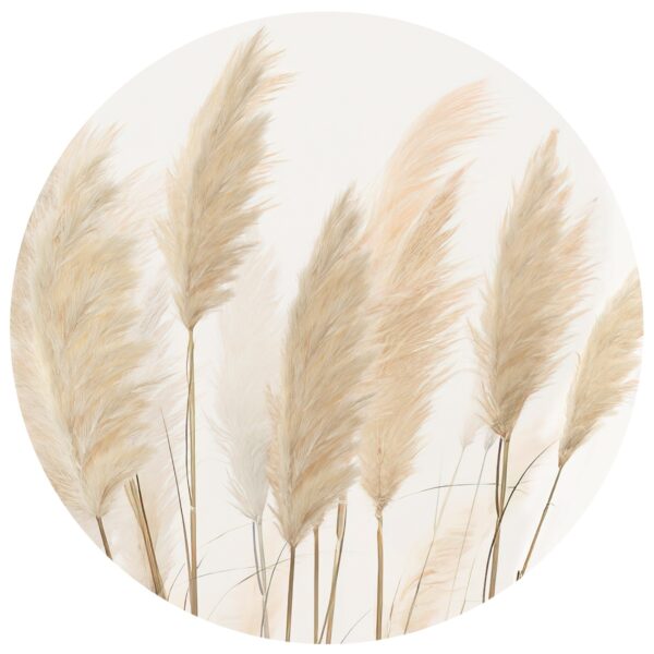 Kör alakú fotótapéta Pampas 125 x 125 cm