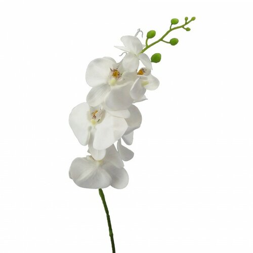 Mű Phalenopsis fehér