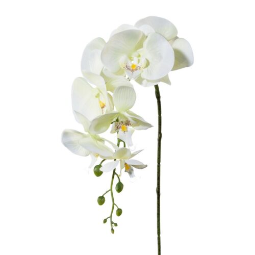 Mű orchidea