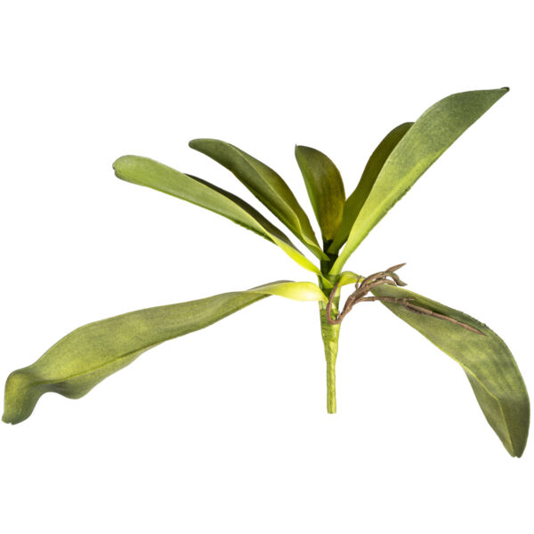 Mű orchidea levél gyökerekkel