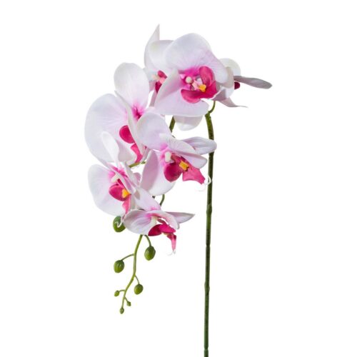 Mű orchidea
