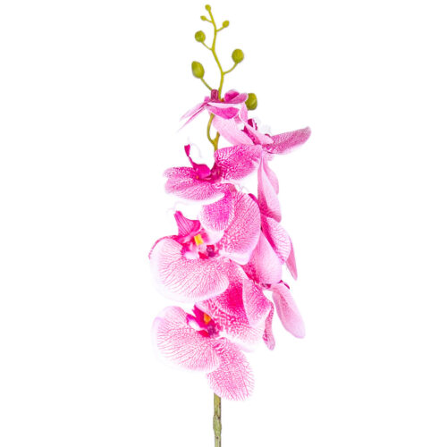 Mű orchidea