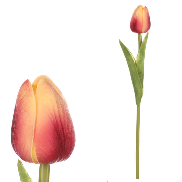 Műhabos tulipán mini YEL-PINK