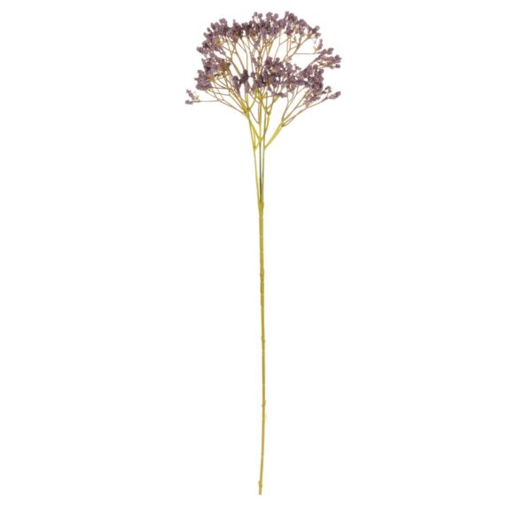 Művirág Gypsophila sötét lila