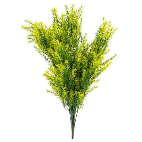 Művirág csokor Asparagus
