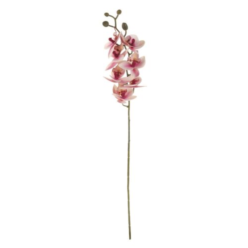 Orchidea művirág világos rózsaszín
