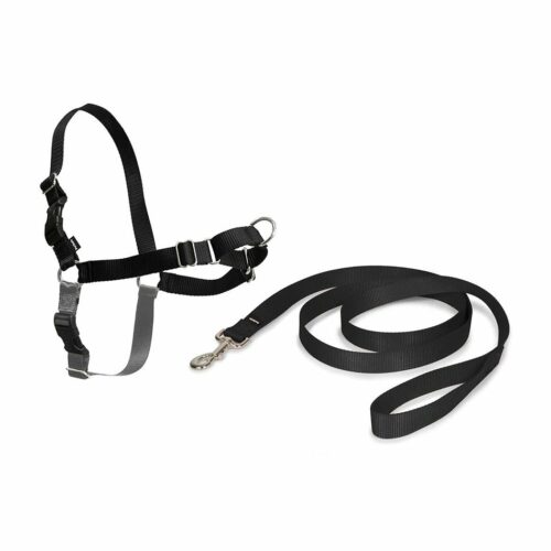 PetSafe EasyWalk hám