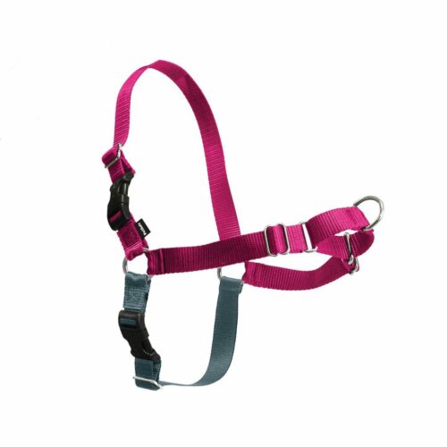 PetSafe EasyWalk hegyi szamóca színű L méretű hám