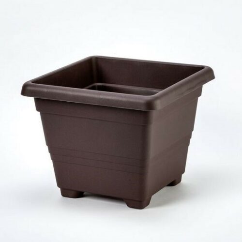 Plastia Begonia virágcserép 60 x 60
