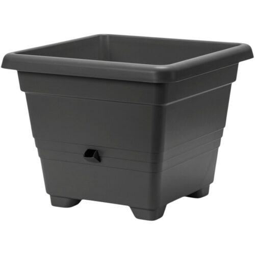Plastia Öntözőkannás virágcserép Bergamot