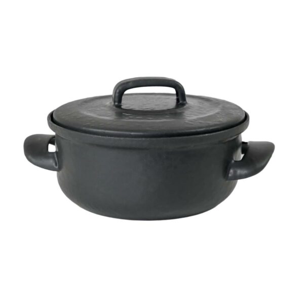 Sfinx Smalted serpened pan with lid BSE