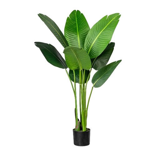Strelitzia Nicolai műnövény cserépben