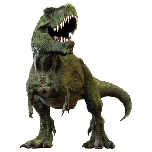 T-REX 3D matrica