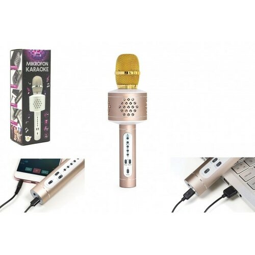 Teddies Karaoke mikrofon Bluetooth