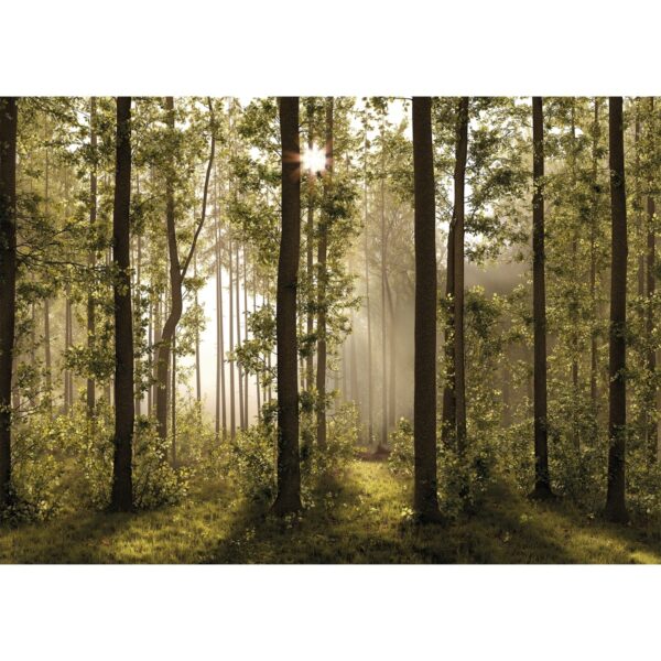 XXL erdei fotó tapéta 360 x 254 cm