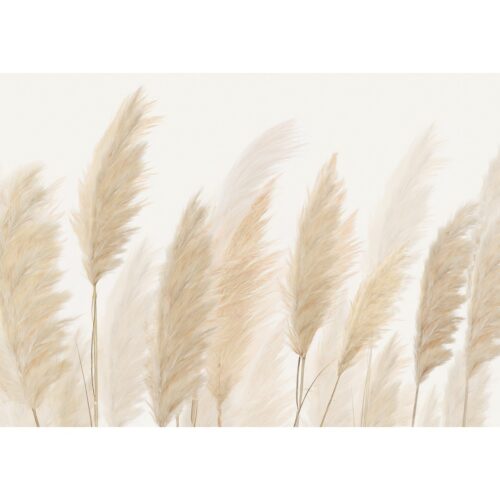 XXL fotótapéta Pampas 360 x 254 cm