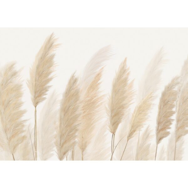 XXL fotótapéta Pampas 360 x 254 cm