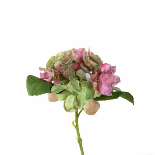 LEONARDO POESIA hortensia 33cm