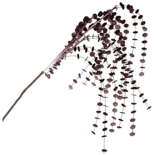 LEONARDO CALMO eukaliptusz ág 130cm