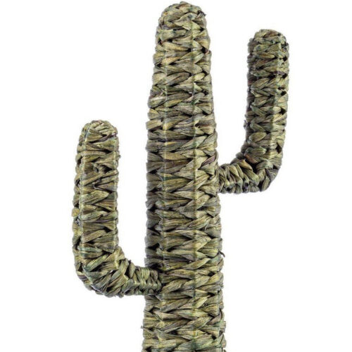 SAGUARO zöld tengerifű dísztárgy