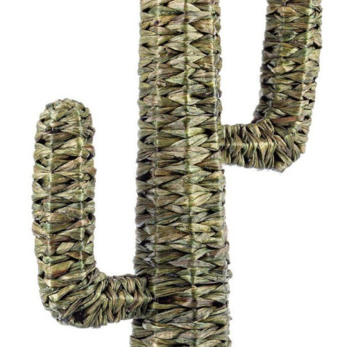 SAGUARO II zöld tengerifű dísztárgy