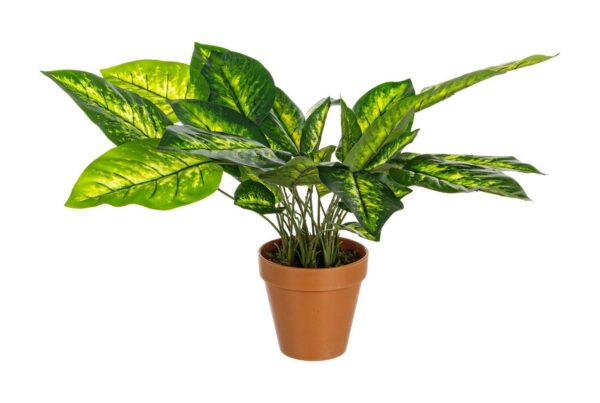 DIEFFENBACHIA zöld műanyag művirág 45cm DIEFFENBACHIA zöld műanyag művirág 45cm