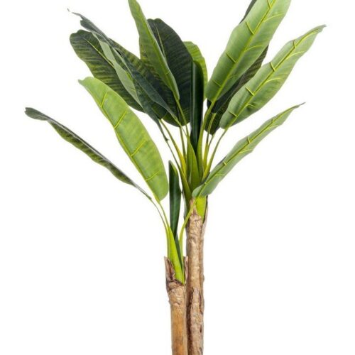 BANANO II zöld művirág