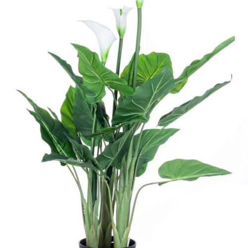 CALLA zöld művirág