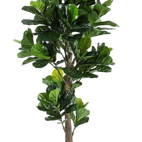 FICUS LYRATA II zöld művirág
