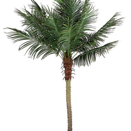 PALMA barna műanyag dekoráció