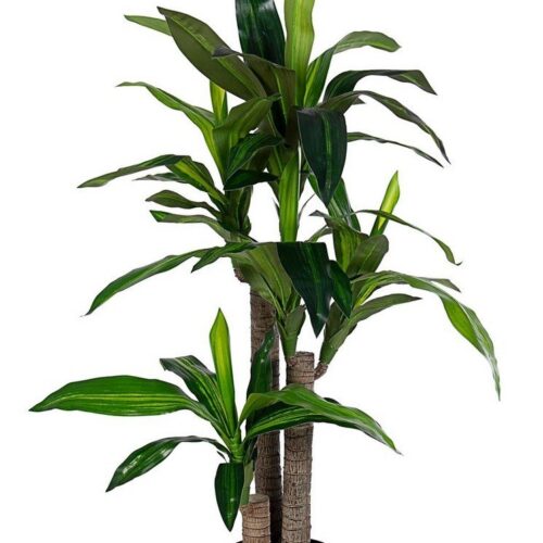 DRACANEA II zöld művirág