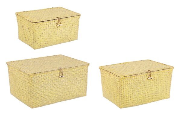 CLOE sárga tengerifű 3 részes kosár szett CLOE sárga tengerifű 3 részes kosár szett