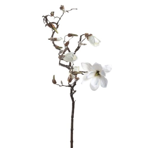 LEONARDO ARONA magnólia 140cm