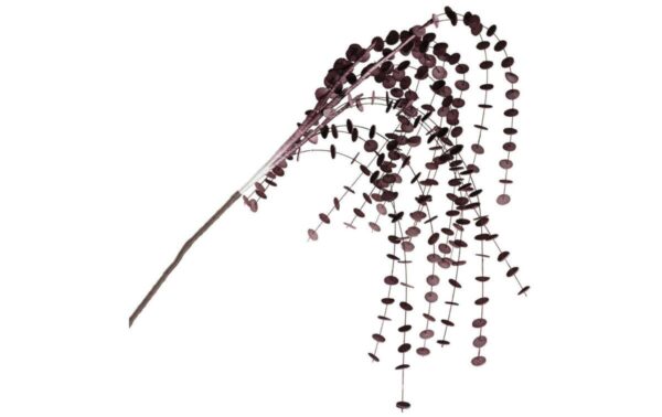 LEONARDO CALMO eukaliptusz ág 130cm LEONARDO CALMO eukaliptusz ág 130cm