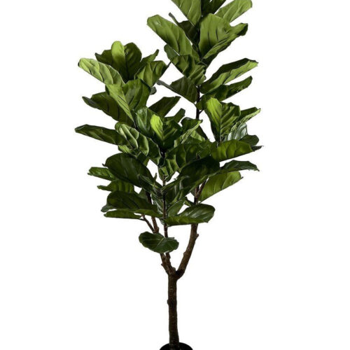 FICUS LYRATA zöld művirág FICUS LYRATA zöld művirág