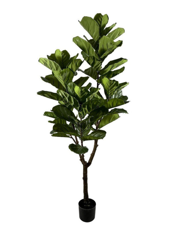 FICUS LYRATA zöld művirág FICUS LYRATA zöld művirág