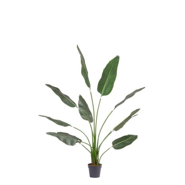 STRELITZIA zöld műanyag művirág STRELITZIA zöld műanyag művirág