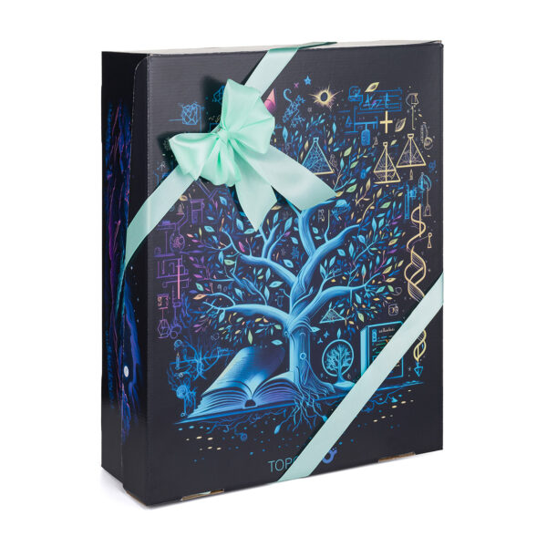Karácsonyi ajándékdoboz Topgal GIFT BOX MYSTIQUE SE Karácsonyi ajándékdoboz Topgal GIFT BOX MYSTIQUE SE